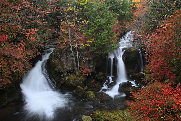 観瀑台から見た竜頭の滝と紅葉