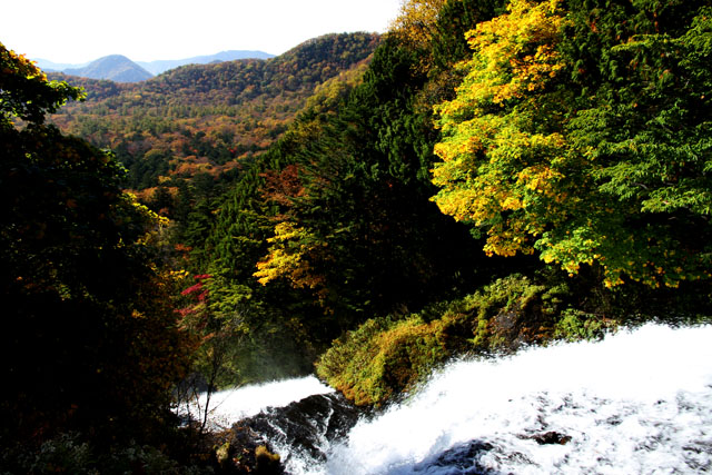 湯滝の上から見た滝と戦場ヶ原の紅葉